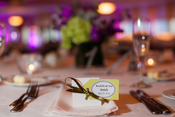 rochelle&ned_wed434