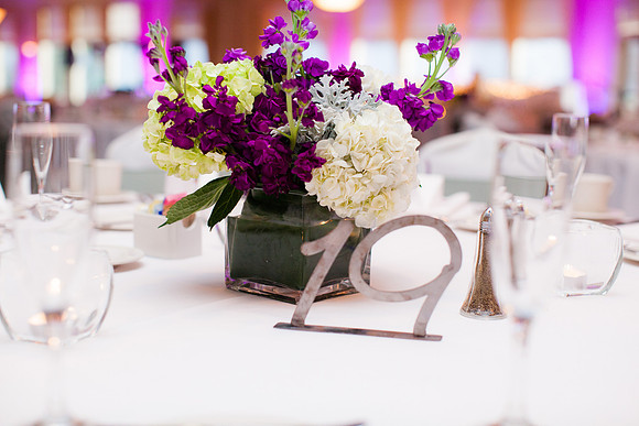 rochelle&ned_wed431