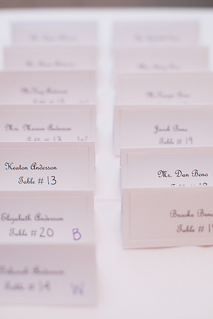 rochelle&ned_wed428