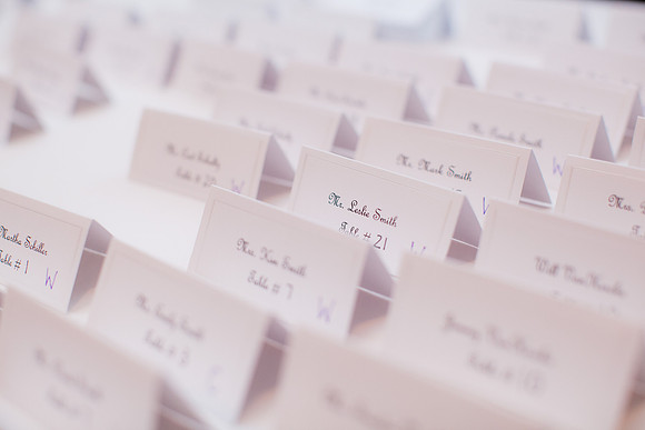 rochelle&ned_wed426