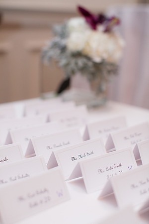 rochelle&ned_wed427