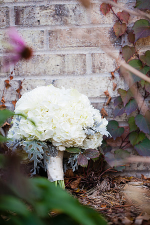 rochelle&ned_wed323