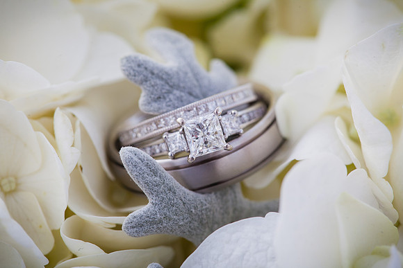 rochelle&ned_wed320