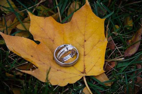 rochelle&ned_wed319