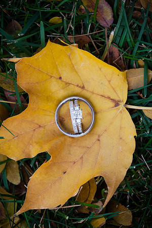 rochelle&ned_wed316