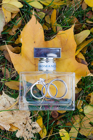 rochelle&ned_wed312