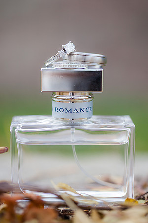rochelle&ned_wed311