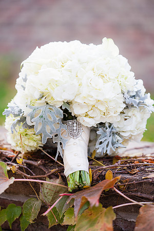 rochelle&ned_wed307