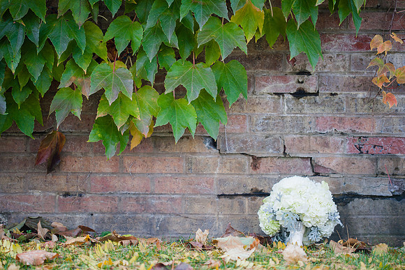 rochelle&ned_wed306